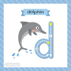 Letter D lowercase cute children colorful zoo and animals ABC alphabet tracing flashcard of Dolphin for kids learning English vocabulary and handwriting vector illustration.