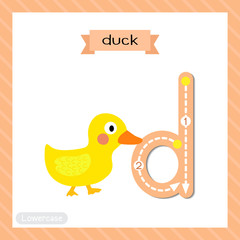 Letter D lowercase cute children colorful zoo and animals ABC alphabet tracing flashcard of Duck for kids learning English vocabulary and handwriting vector illustration.
