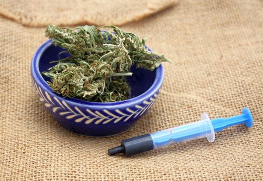 Hash oil phoenix tears medicine in little syringe with dry marijuana buds