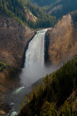 Lower Falls, Grand Canyon of the Yellowstone