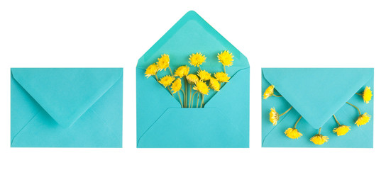 Cyan envelope and yellow chrysanthemum