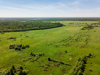 Nice aerial view of green field. landscape