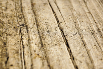 The old wood texture with natural patterns