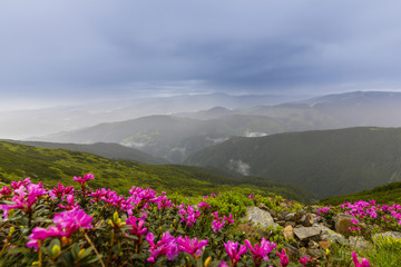 Fototapeta premium Summer scenery in the Alps with rain and mist clouds