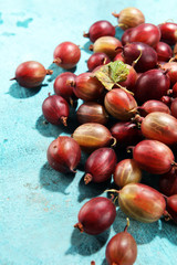 Fresh gooseberries on table. A crop of ripe gooseberry.