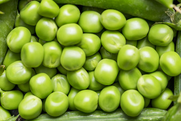 Green pea pod, green peas. Many fresh green peas as background