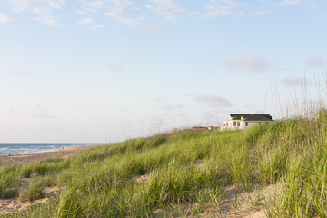Beach home landscape