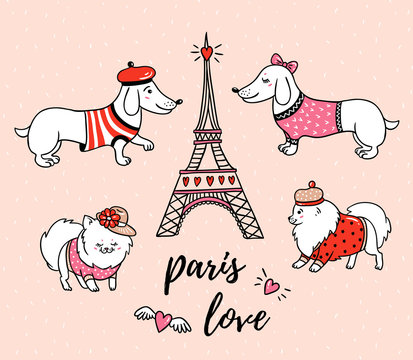 French style dogs and Eiffel tower isolated on pink background. Cute cartoon couples of parisian dachshund and  pomeranian vector illustration. French style dressed dog with red beret.