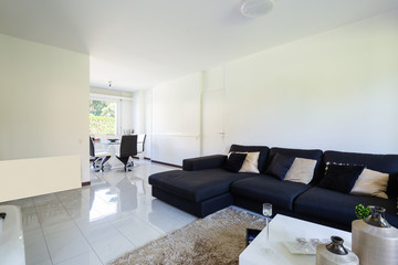 Modern living room with large dark sofa