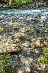 Denny Creek Rocky Shallows