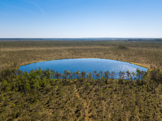 Aerial view of forest lake in swamp