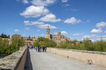 Fototapeta na wymiar Vista del puente romano y las catedrales de Salamanca