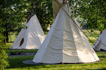 Group of Tipis Standing Among the Trees