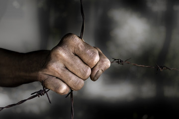 Rough hands holding the barbed wire on black background.