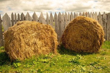 Hay in the farm