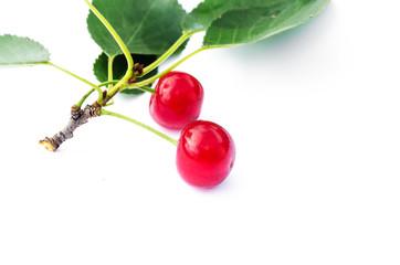 red ripe cherry on a background