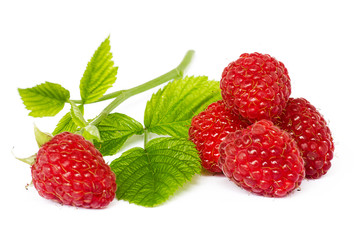 The red has reached tasty