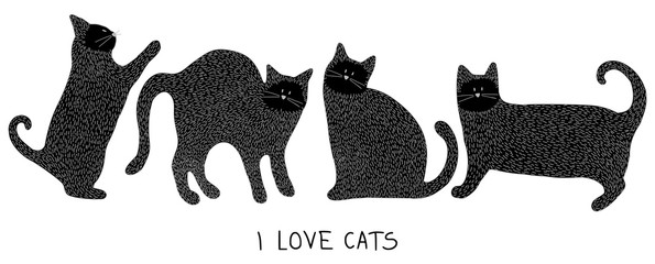 Cats © ZYTA.eM