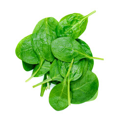 Spinach leaves. Fresh Green spinach isolated on a white background close up.