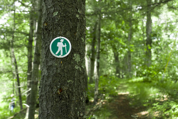 Hiking Trail Marker on a Tree in the Woods