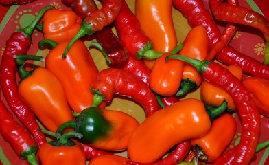 Red bitter pepper.