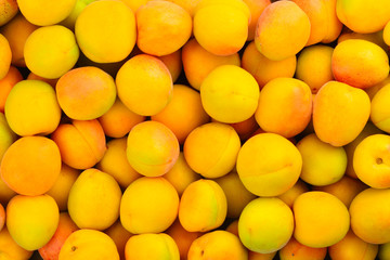 Ripe juicy orange apricots fruit background.