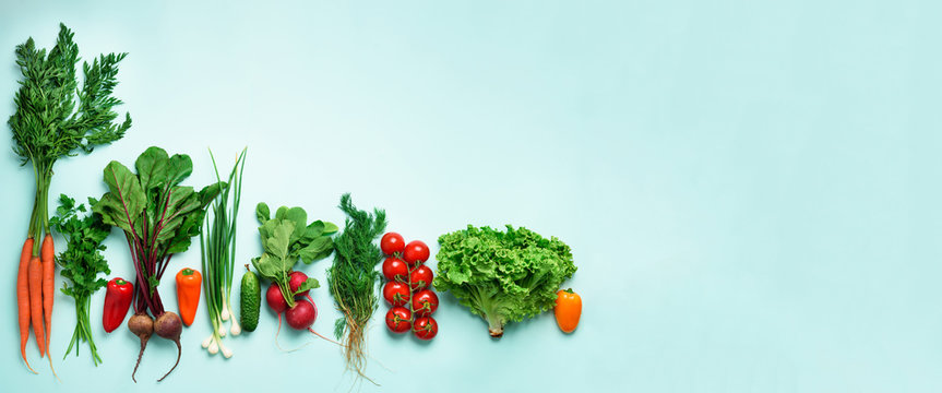 Organic vegetables and garden tools on blue background with copy space. Banner. Top view of carrot, beet, pepper, radish, dill, parsley, tomato, lettuce. Veggies growing in soil. Vegan, eco concept