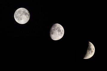 Fase lunare