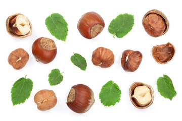 Hazelnuts with leaves isolated on white background. Top view. Flat lay
