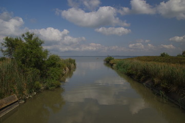 Kleiner Zufluss in der Camargue