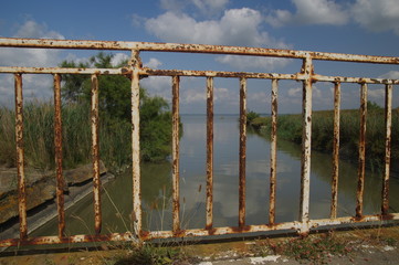 Zufluss in der Camargue mit Zaun