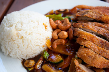 Delicious Meal with Rice and Duck