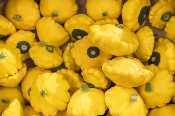 Yellow chestnut. Colorful pumpkins. Bright patissons on the market. Yellow patissons. backgrount.