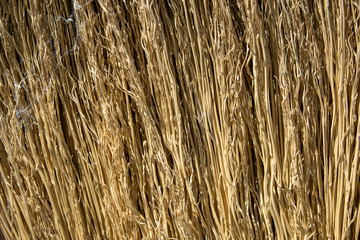 Original texture from the Sorga plant, as a background
