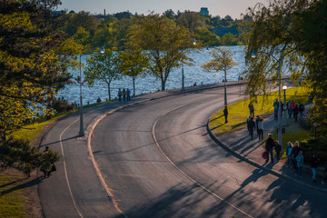 Curved road near Dow Lake, Ottawa