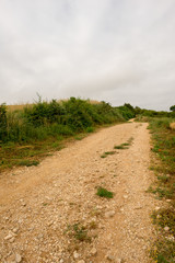 Camino de Santiago as it passes through Navarra