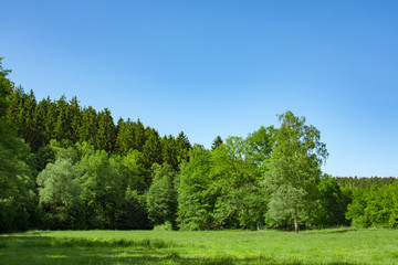 a landscape in may