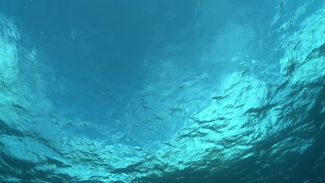 sea surface from underwater - underwater landscape.