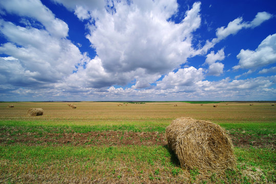 Hay bail harvesting in a summer field landscape. Agriculture field with cloudy sky - Rural nature in the farm land