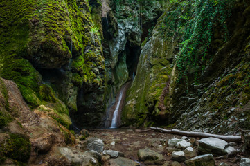 Water flow into creek and waterfall in mountain gorge, between rocks and stones covered with green moss