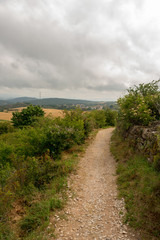 Fototapeta na wymiar Camino de Santiago as it passes through Navarra