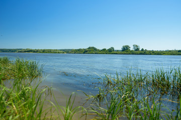Morning on a river with fog, fishing