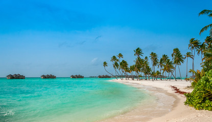 Fototapeta na wymiar The perfect beach. Luxury escape. Tropical paradise. Honeymoon at Maldives. Palms and white sund. Blue ocean