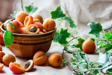 Ripe apricots in a bowl with green leaves