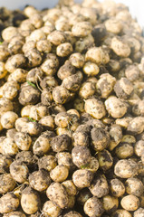 a bunch of fresh young yellow potatoes on the field close-up, agriculture, farming, seasonal work, vegetables, environmentally friendly product, good harvest. selective focus