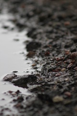 just water on the road