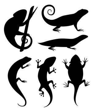 Black silhouette. Cartoon chameleon climb on branch. Small lizards. Animal flat icon collection. Vector illustration isolated on white background