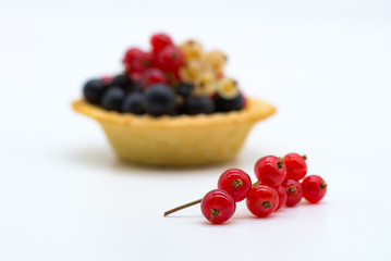 Tartlet with red and black currant isolated white background