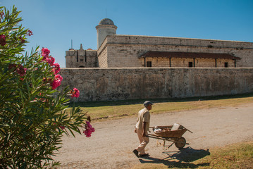 Red flowers on the background of the old Fortress Fortaleza de Jagua. Castillo de Jaguar. Cuba, Cienfuegos.