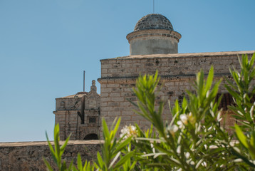 The green leaves of the Bush against the background of the old Fortress Fortaleza de Jagua. Castillo de Jaguar. Cuba, Cienfuegos.